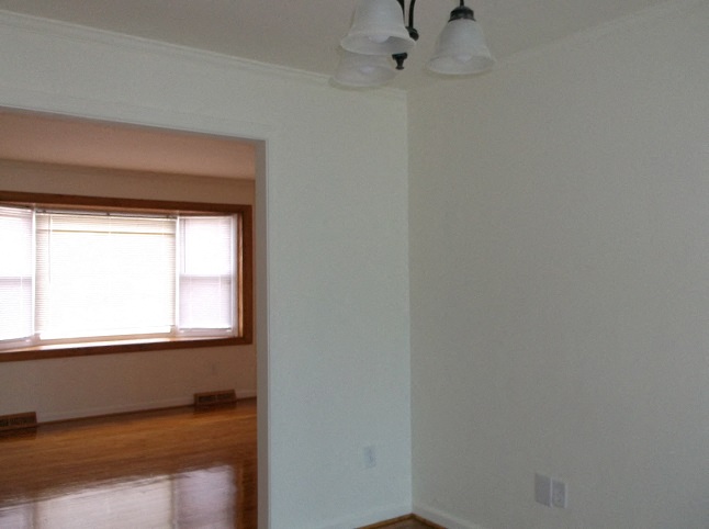 Gallery Photo 16